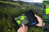 EOS Data Analytics Enhances Its EOSDA Forest Monitoring Solution To Further Promote Sustainable Forestry Management