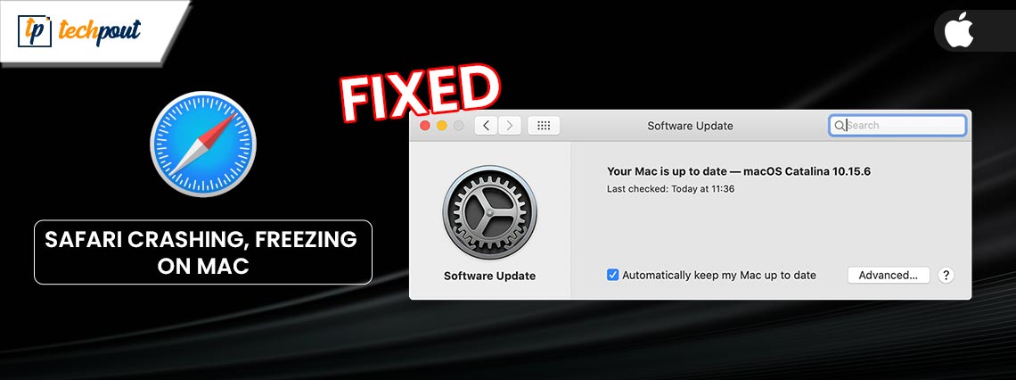 How to Fix Safari Crashing, Freezing on Mac