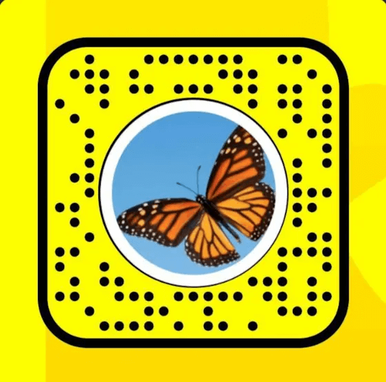 Position your camera so that it is pointing at the Snapcode