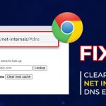 How-to-Clear-Chrome-Net-Internals-DNS-Error