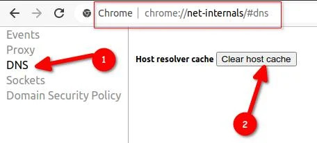 Clear Chrome Net Internals DNS