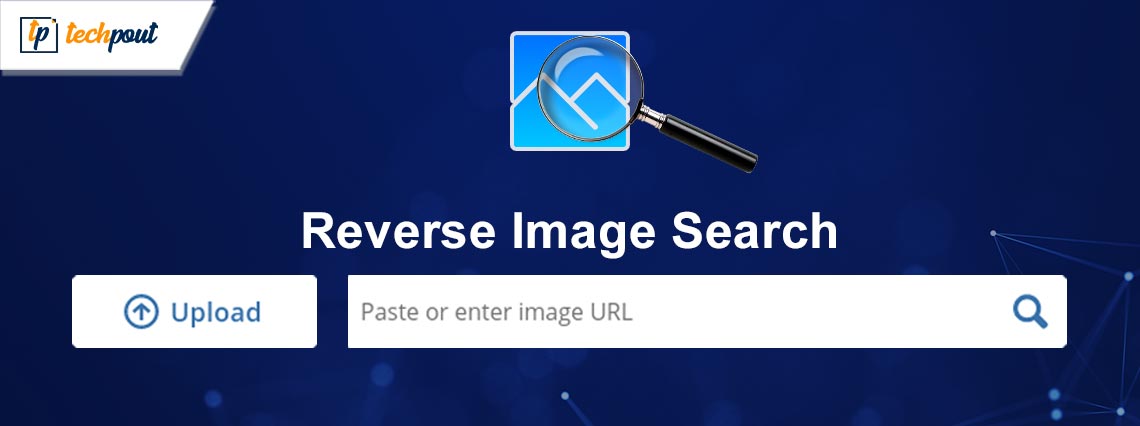 7 Best Reverse Image Search For Free in 2024