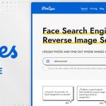 Best Free PimEyes Alternative