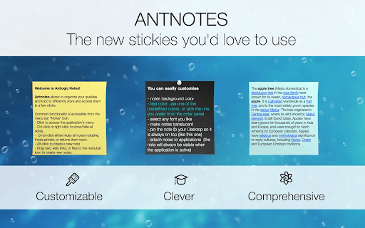 Simple Antnotes