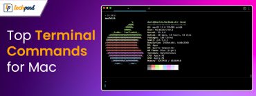 Top Terminal Commands for Mac