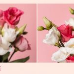 How To Make A Picture Less Blurry