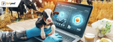 Biotechnology in Cattle Reproduction A Fascinating Journey Through Four Generations