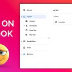 How to Use Emojis on Chromebook