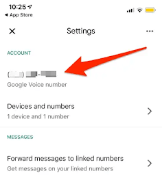 account number google voice