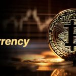 Best Cryptocurrency Wallets