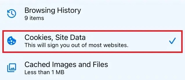 cookie-and-site-data-in-ios