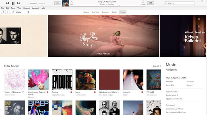 Apple's iTunes