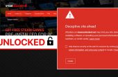 What-is-Steam-Unlocked-Pro-Is-it-Safe-to-Use