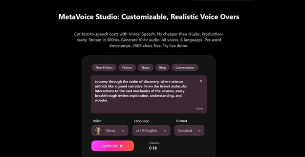 MetaVoice Studio