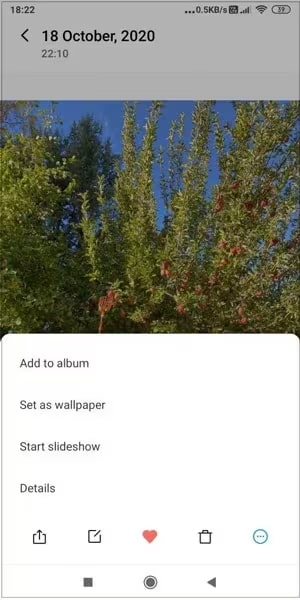 Convert the File to a Supported Format