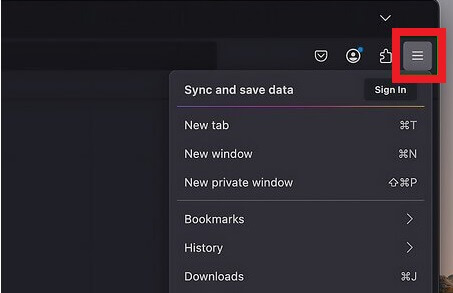InPrivate browsing Window