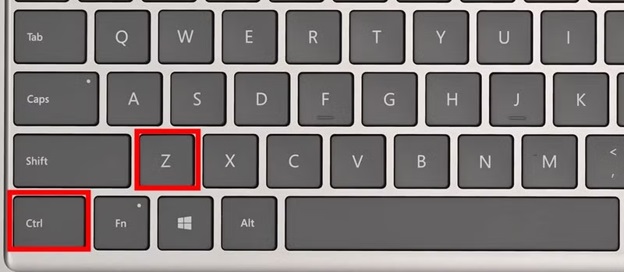 ctrl + z