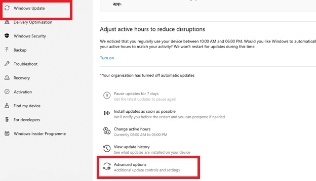 winows update advance option