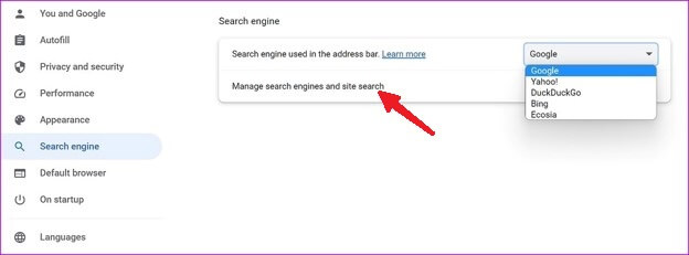 mange search engine and site search