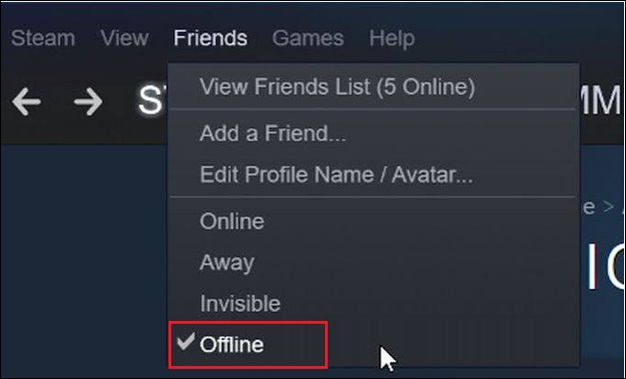 offline steam
