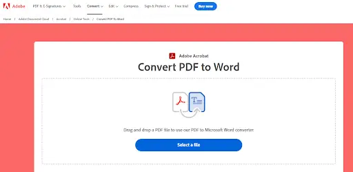 Adobe’s PDF to Word Converter